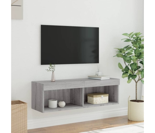 Mueble para TV con luces LED gris Sonoma 100x30x30 cm