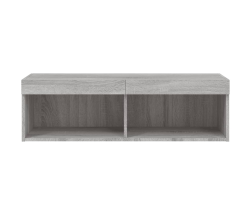 Mueble para TV con luces LED gris Sonoma 100x30x30 cm