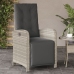 vidaXL Sillón reclinable jardín y reposapiés 2 uds ratán PE gris claro