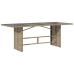 Mesa de jardín superficie de vidrio ratán PE beige 190x80x74 cm