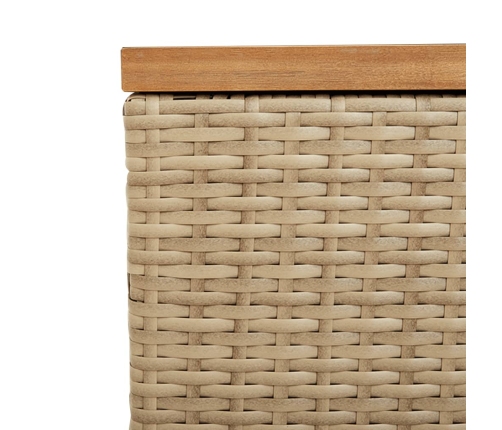 Caja de almacenaje jardín madera acacia ratán beige 220x50x54cm