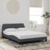Estructura de cama sin colchón terciopelo gris oscuro 120x200cm