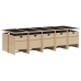 Set comedor de jardín 11 pzas con cojines ratán sintético beige