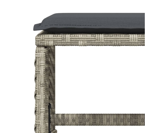 Set comedor jardín y cojines 17 pzas ratán sintético gris claro