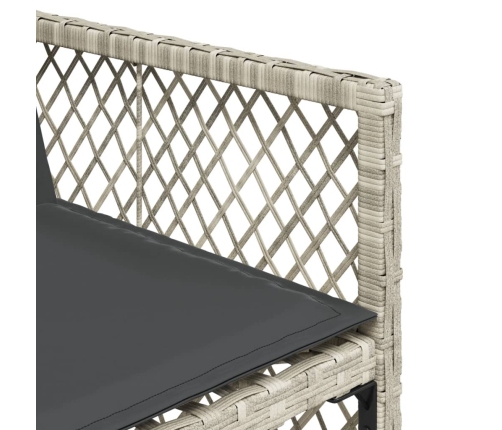 Set comedor jardín y cojines 13 pzas ratán sintético gris claro