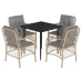 Set comedor de jardín 5 pzas con cojines ratán sintético beige
