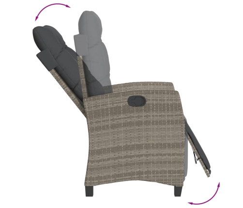 Set comedor jardín 9 pzas y cojines ratán sintético gris