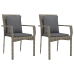 Set comedor jardín 9 pzas y cojines ratán sintético gris