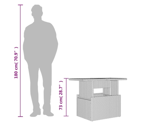 vidaXL Mesa de jardín ratán PE y madera de acacia gris 100x55x73 cm