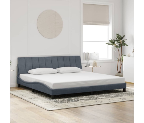 Estructura cama sin colchón terciopelo gris oscuro 200x200 cm