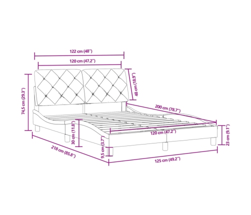 Estructura de cama sin colchón terciopelo negro 120x200 cm
