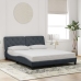 Estructura de cama sin colchón terciopelo gris oscuro 160x200cm