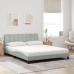 Cama con colchón terciopelo gris claro 160x200 cm