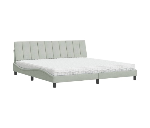 vidaXL Cama con colchón terciopelo gris claro 200x200 cm