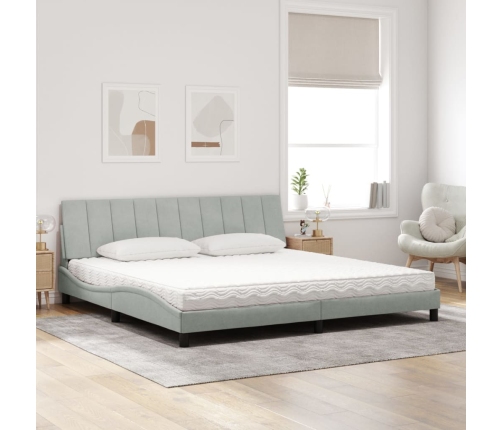 vidaXL Cama con colchón terciopelo gris claro 200x200 cm