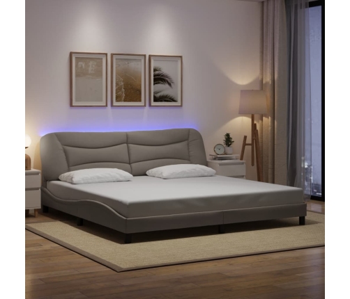 Estructura de cama con luces LED tela gris taupe 200x200 cm