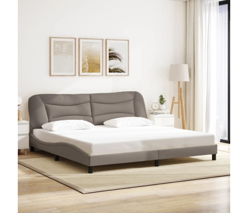 Estructura de cama con luces LED tela gris taupe 200x200 cm