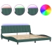 Estructura cama con luces LED terciopelo verde oscuro 200x200cm