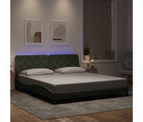 Estructura cama con luces LED terciopelo gris claro 180x200 cm