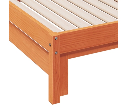 Sofá cama nido madera maciza de pino marrón cera 90x200 cm