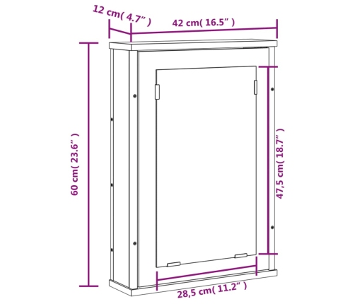 Armario con espejo de baño madera gris Sonoma 42x12x60 cm