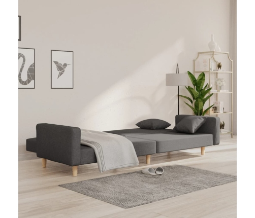 Sofá cama de 2 plazas con dos almohadas tela gris oscuro