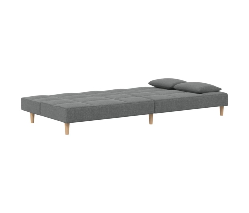 Sofá cama de 2 plazas con dos almohadas tela gris oscuro