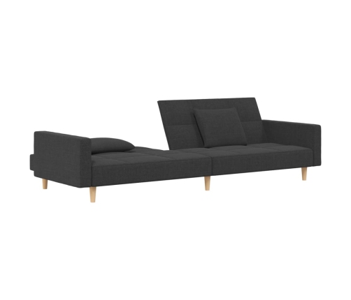 Sofá cama de 2 plazas con dos almohadas tela gris oscuro