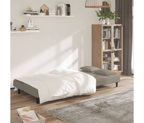 Sofá cama de 2 plazas con dos almohadas terciopelo gris claro