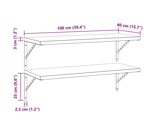 Estantes de pared 2 uds acero inoxidable plateado 100x40 cm