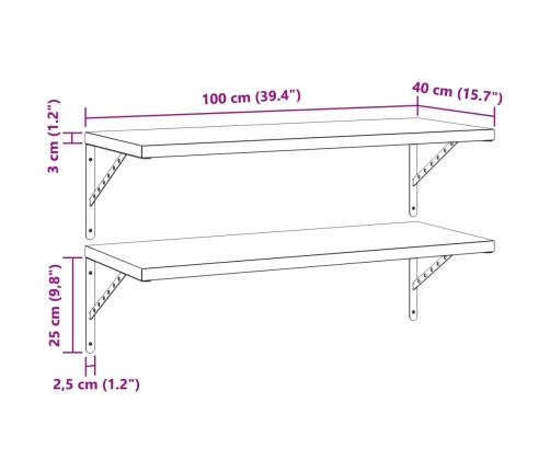 Estantes de pared 2 uds acero inoxidable negro 100x40 cm