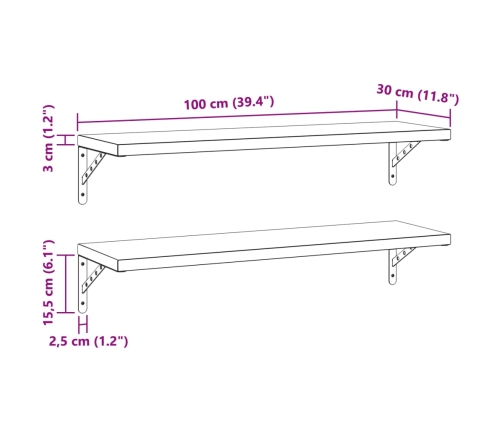 Estantes de pared 2 uds acero inoxidable negro 100x30 cm