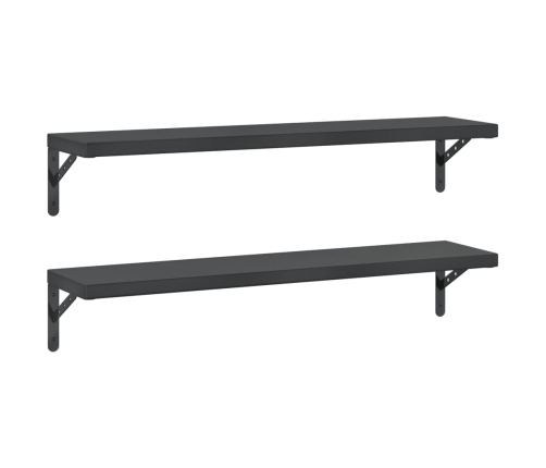 Estantes de pared 2 uds acero inoxidable negro 100x23,5 cm