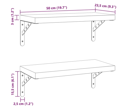 vidaXL Estantes de pared 2 uds acero inoxidable negro 50x23,5 cm