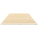 Láminas de somier de cama madera maciza de pino 70x200 cm