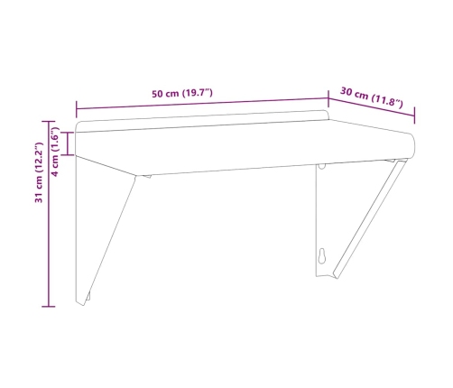 Estante de pared de acero inoxidable plateado 50x30x31 cm