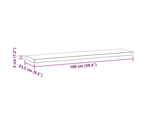 Estantes de pared 2 uds acero inoxidable plateado 100x23,5x3 cm