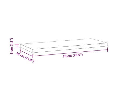 Estantes de pared 2 uds acero inoxidable plateado 75x30x3 cm