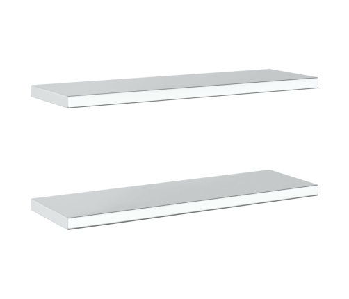 Estantes de pared 2 uds acero inoxidable plateado 75x23,5x3 cm