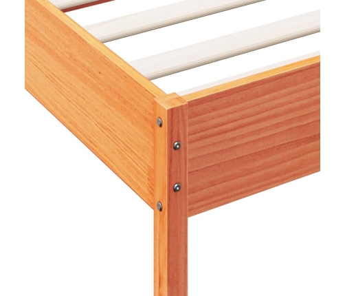 Cama sin colchón madera maciza de pino marrón cera 100x200 cm