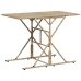 Set comedor de jardín 7 pzas con cojines ratán sintético beige