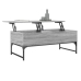 Mesa de centro madera ingeniería metal gris Sonoma 100x50x40 cm