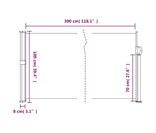 Toldo lateral retráctil negro 100x300 cm