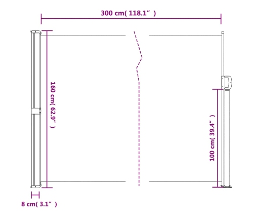 Toldo lateral retráctil negro 160x300 cm