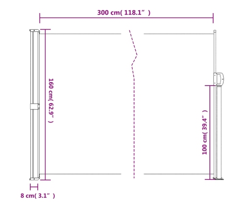 Toldo lateral retráctil marrón 160x300 cm