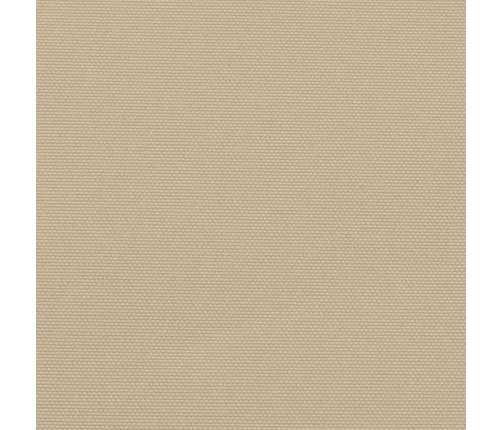 Toldo lateral retráctil beige 170x300 cm