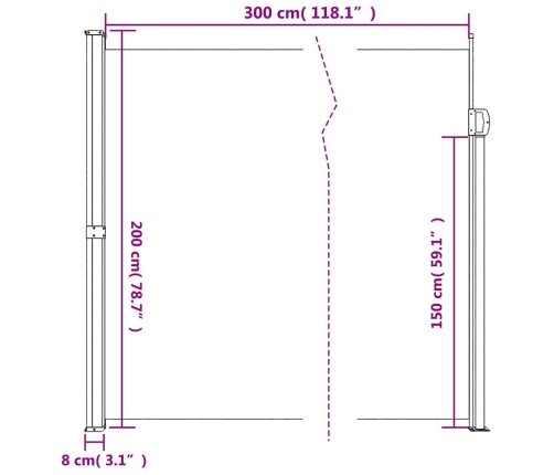 Toldo lateral retráctil negro 200x300 cm