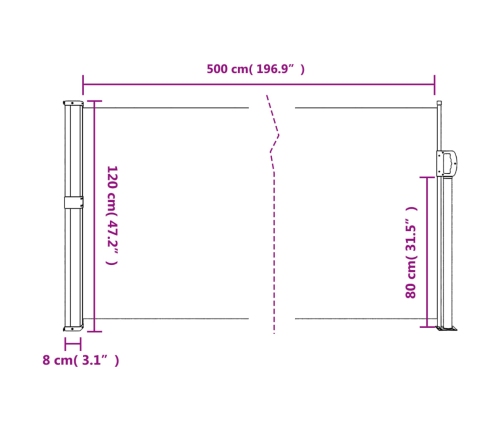 Toldo lateral retráctil azul 120x500 cm