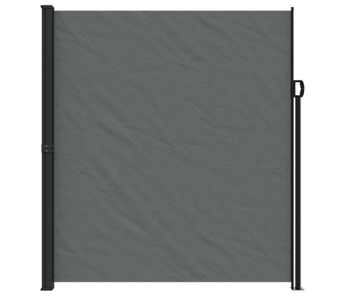 Toldo lateral retráctil gris antracita 220x500 cm