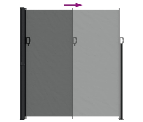 Toldo lateral retráctil gris antracita 220x500 cm